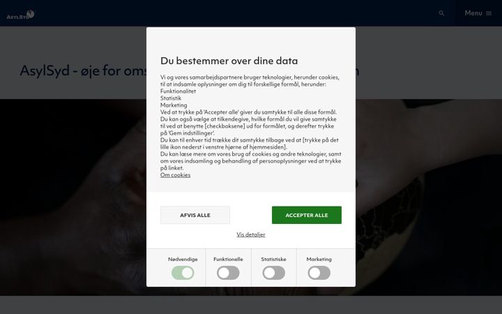 Screenshot of asylsyd.dk