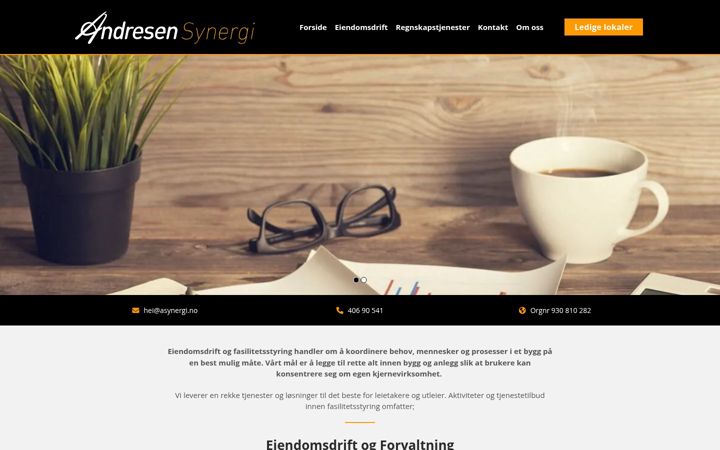 Zrzut ekranu asynergi.no