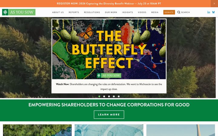 Screenshot of asyousow.org