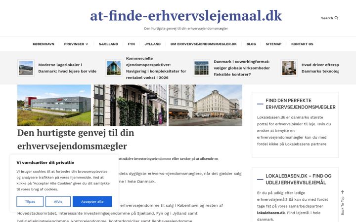 Snímek obrazovky at-finde-erhvervslejemaal.dk