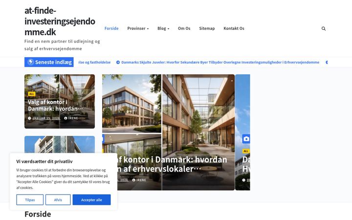 Snímek obrazovky at-finde-investeringsejendomme.dk