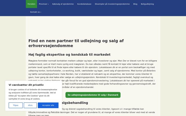Screenshot of at-finde-udlejningsejendomme.dk