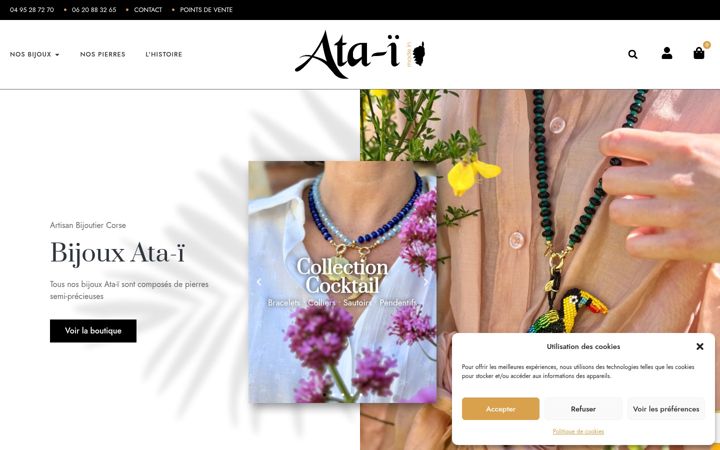 Screenshot of ata-i.com