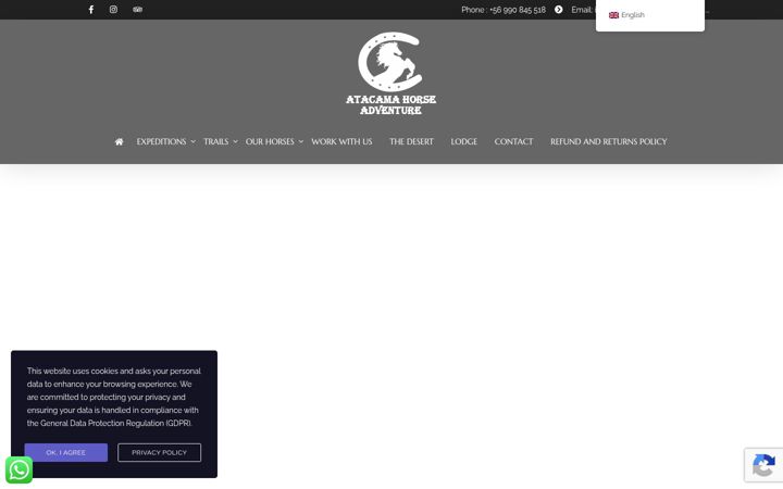 Screenshot of atacamahorse.com
