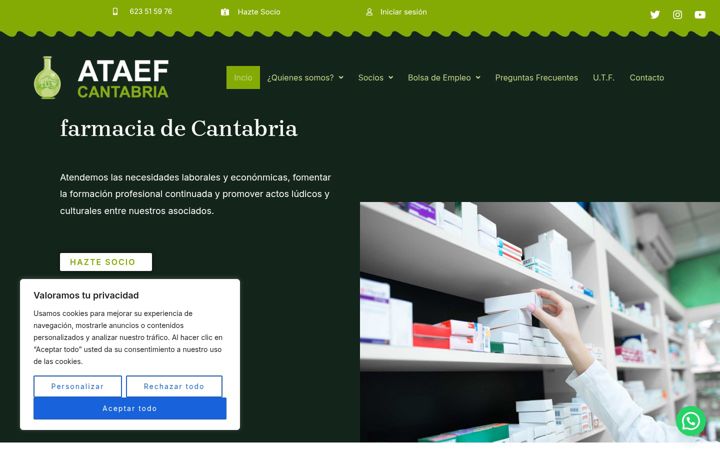 Screenshot of ataefcantabria.org