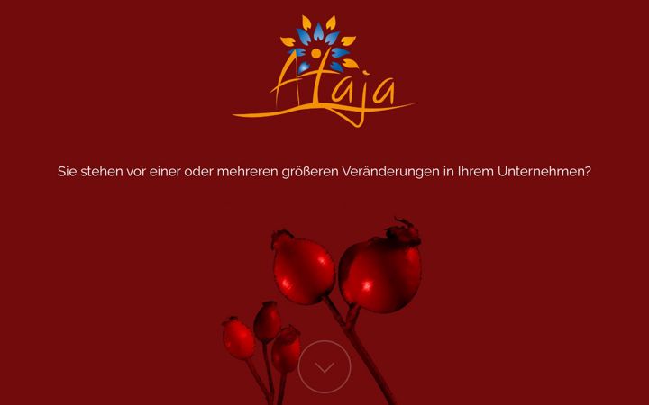 Screenshot of ataja.services