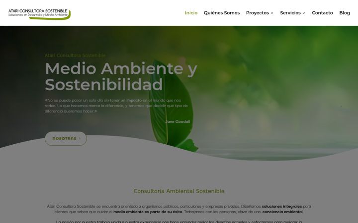 Screenshot van atariconsultores.es