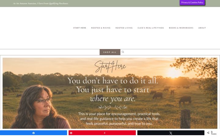 Screenshot of atbarnyardrubble.com