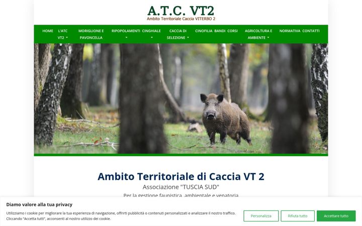 Screenshot of atcviterbo2.it