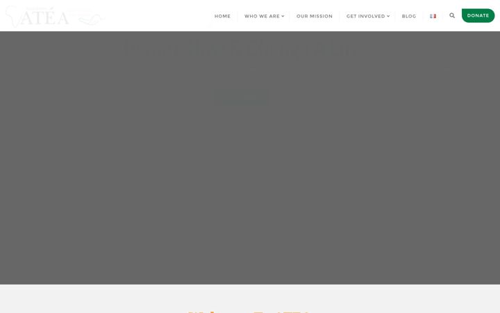 Snímek obrazovky ateafoundation.com