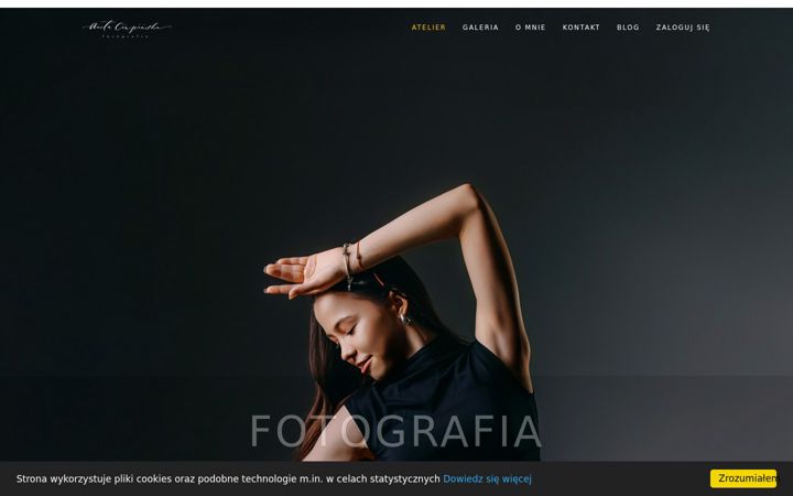 Screenshot of atelieranety.pl