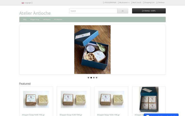 Screenshot of atelierantioche.com