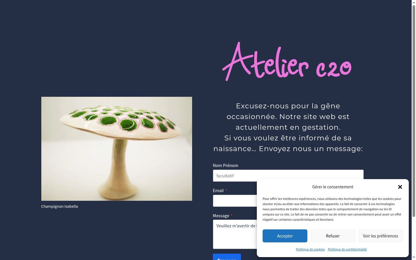 Skærmbillede af samtykkebanneret, som det blev vist før nogen interaktion