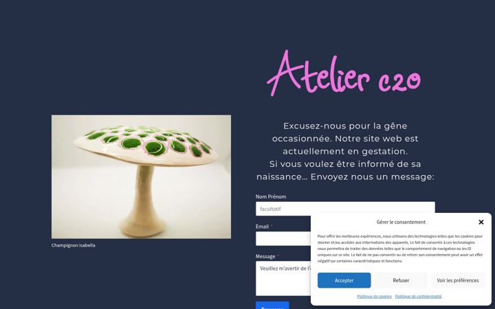 Screenshot ta' atelierc2o.com