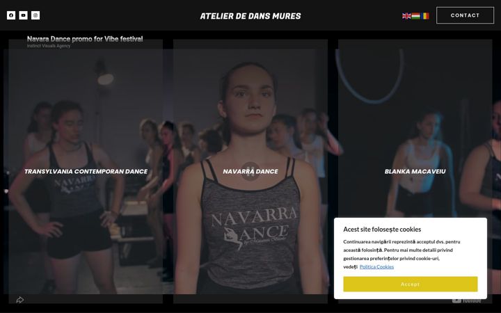 Screenshot of atelierdedansmures.ro
