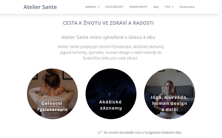 Screenshot of ateliersante.net