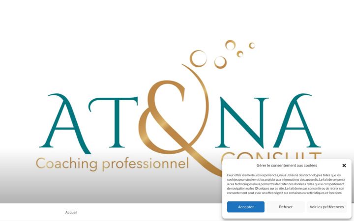 Screenshot of atena-consult.com