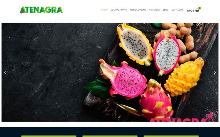 Captura de ecrã de atenagra.es