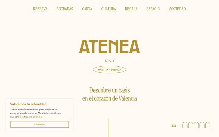 Screenshot of ateneasky.com