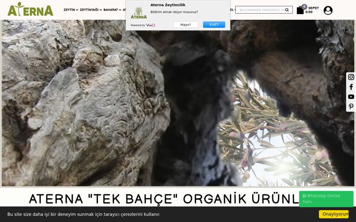 Screenshot of aterna.com.tr