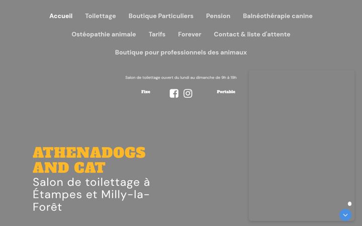 Screenshot of athenadogsandcat.fr