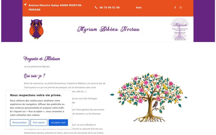 Screenshot of athenanoctua.fr
