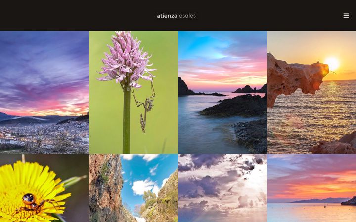 Screenshot of atienzarosales.es