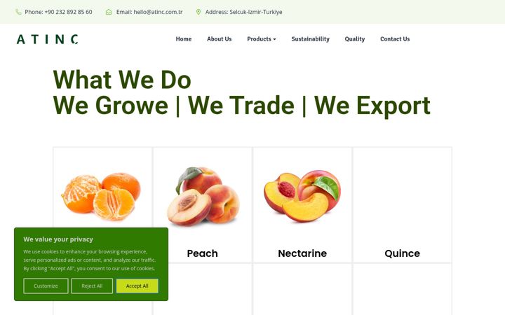 Screenshot of atinc.com.tr