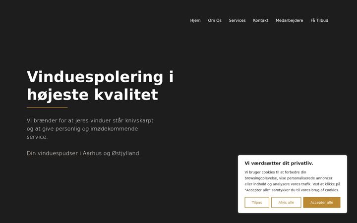 Screenshot of atkvinduespolering.dk