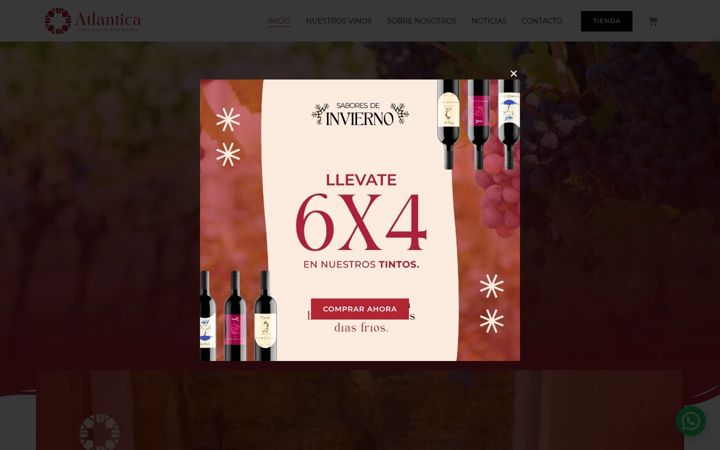 Kuvakaappaus sivustosta atlanticauruguay.com