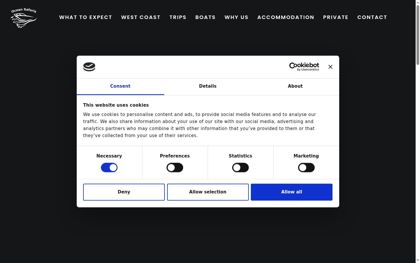 Screenshot of the consent banner shown before any interaction