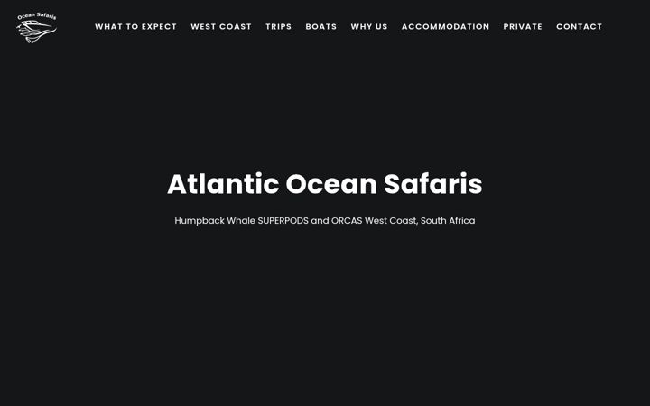 Captura de pantalla de atlanticoceansafaris.com