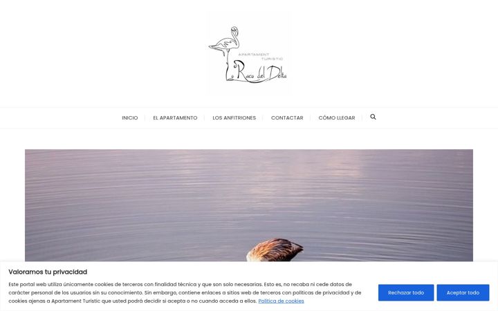 Screenshot of atloracodeldelta.com