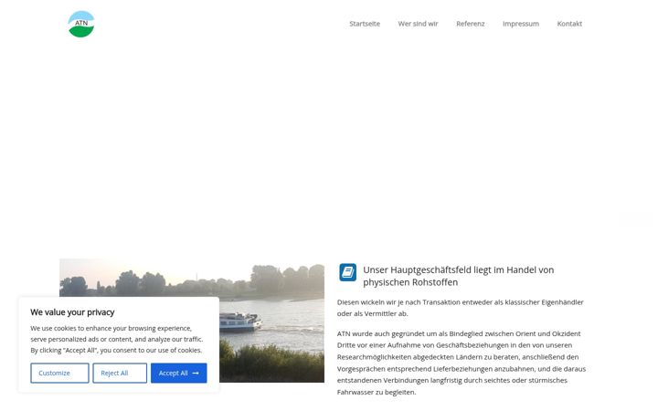 Screenshot of atn-group.com