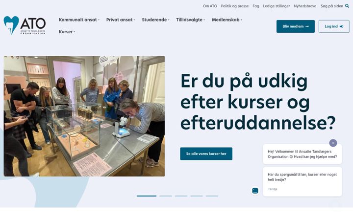 Screenshot of ato.dk