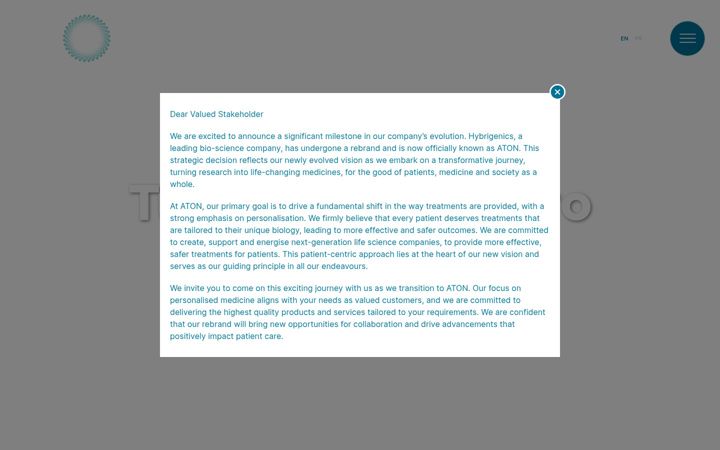 Screenshot of aton-group.com