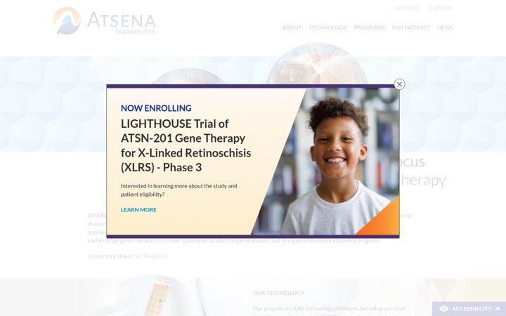 Screenshot of atsenatx.com