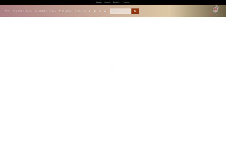 Screenshot of attems.it