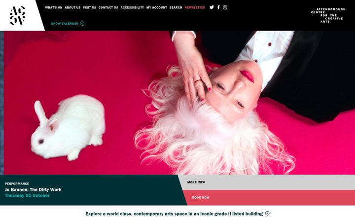 Screenshot of attenboroughcentre.com