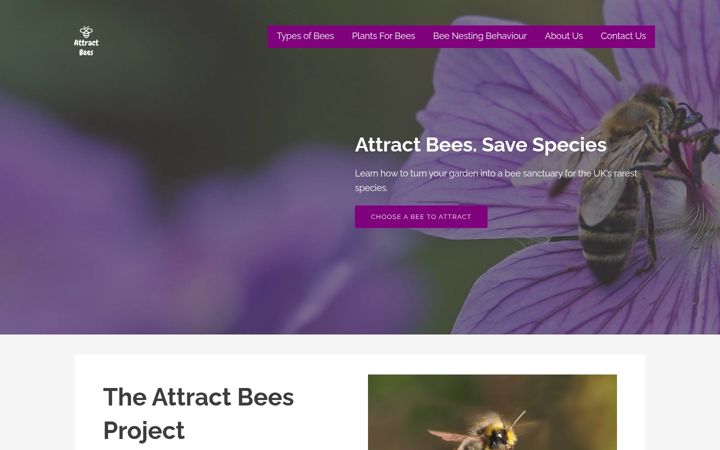 Screenshot van attractbees.co.uk
