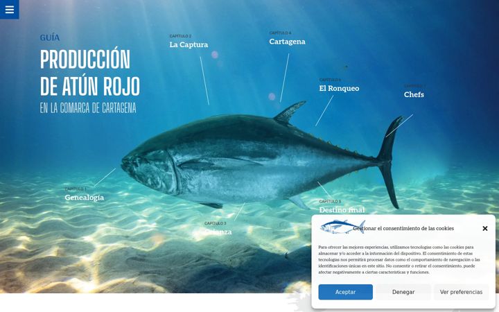 Screenshot of atunrojodecartagena.com