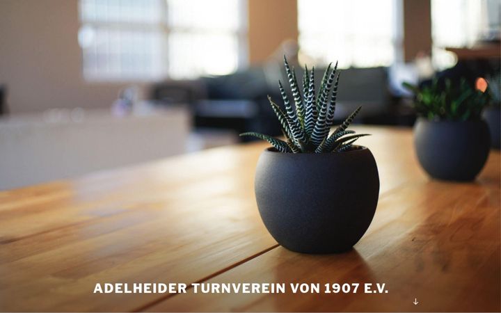 Screenshot of atv-delmenhorst.de