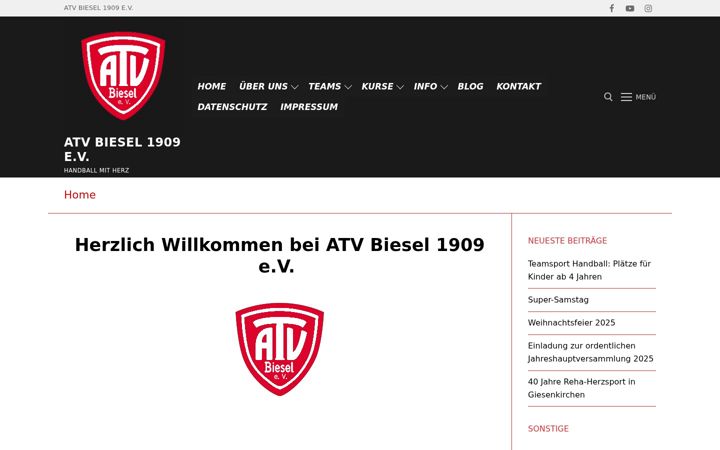 Screenshot of atvbiesel.de