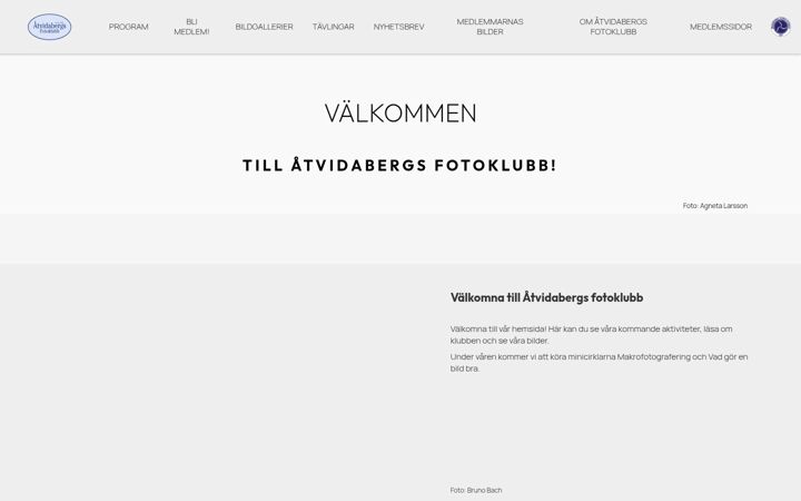 Screenshot of atvidabergsfotoklubb.com