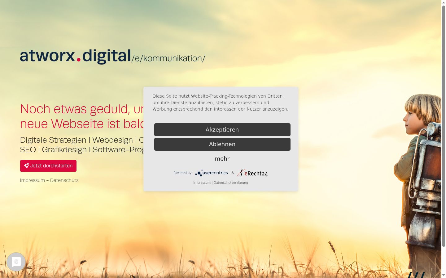 Screenshot of the consent banner shown before any interaction