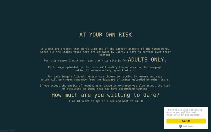 Screenshot of atyourownrisk.art