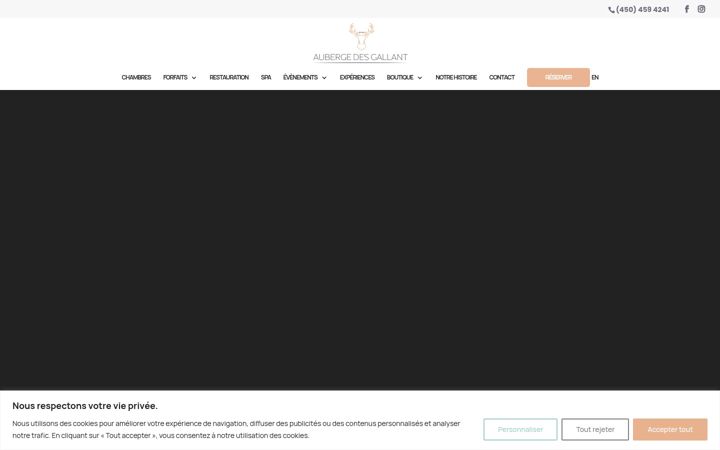 Snímek obrazovky aubergedesgallant.com