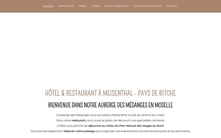 Screenshot of aubergedesmesanges.fr