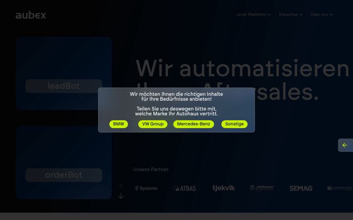 Screenshot von aubex.de