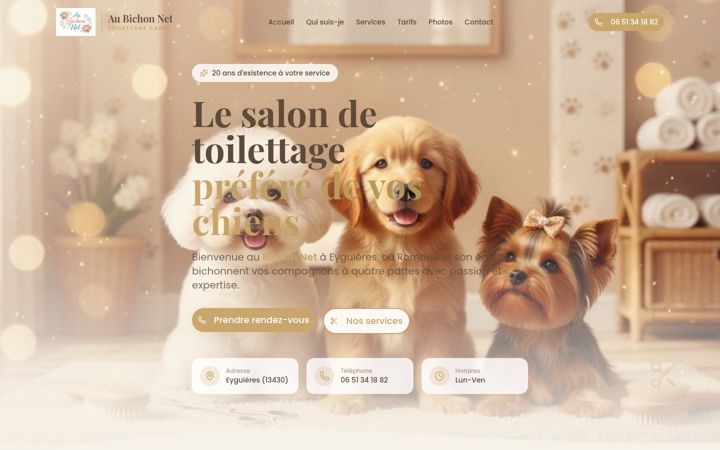Screenshot of aubichon.net